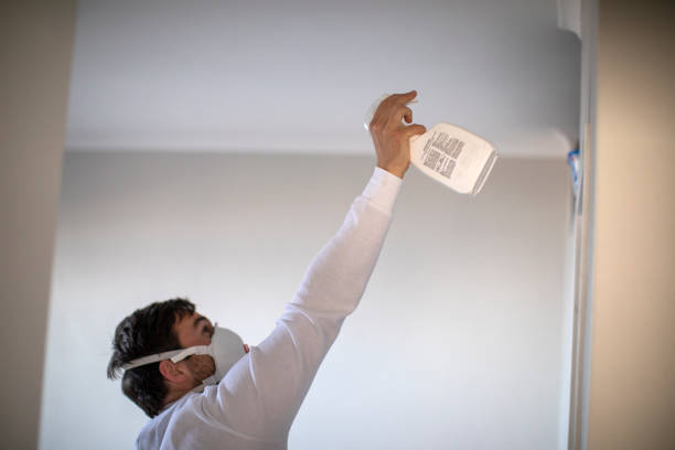 Mold Removal and Inspection in American Fork, UT