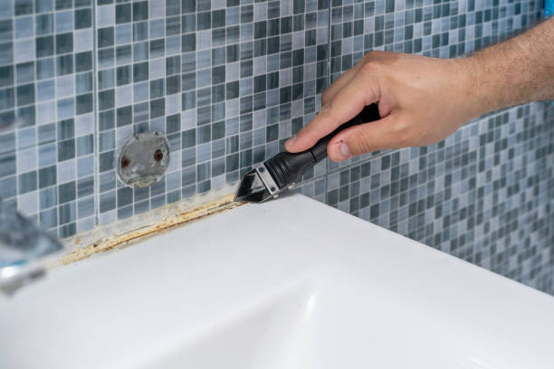 Professional Mold Removal in American Fork, UT
